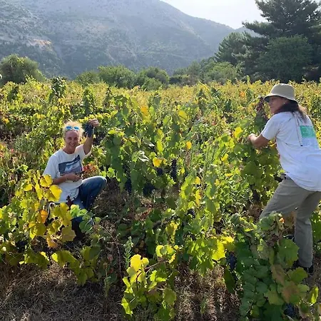 Apartament Alexandra's *